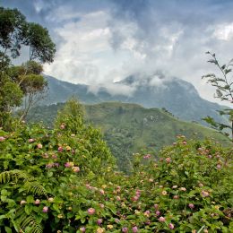 WesternGhats