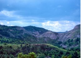 Mountain Scape