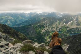 Rest on the trail