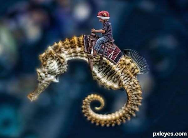 Hippocampus Riding