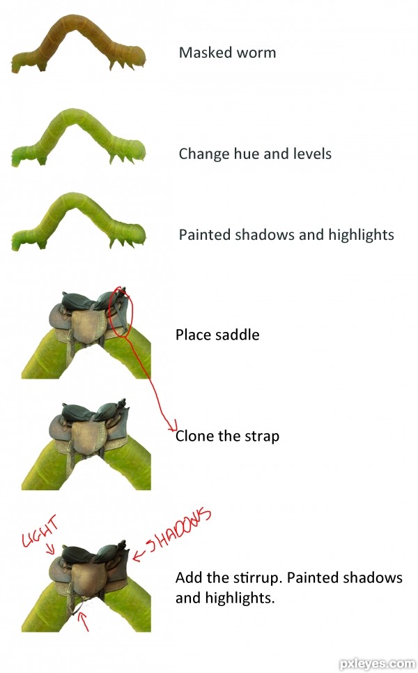 Creation of yiii-haaa!!!: Step 1