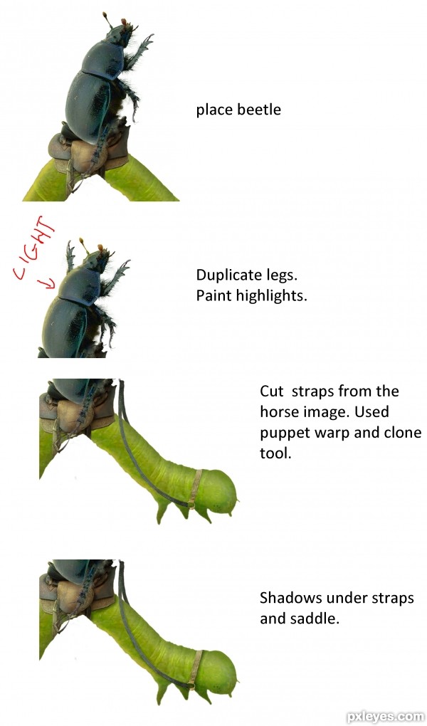 Creation of yiii-haaa!!!: Step 2