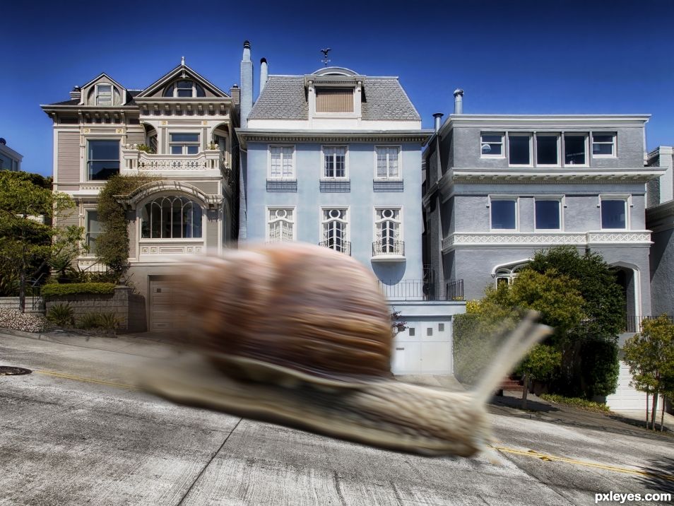 The Snail Express