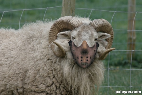 Hannibal Ram