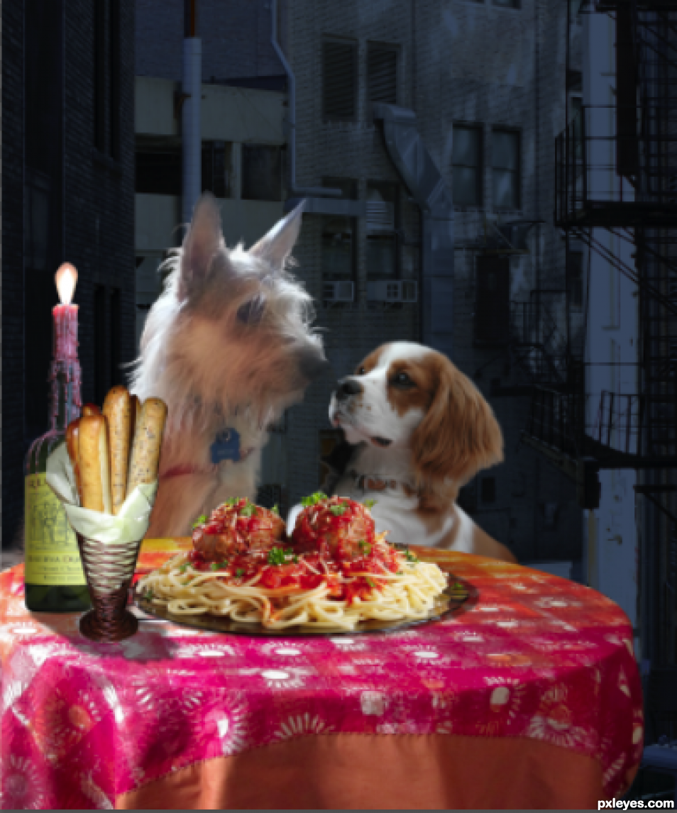 Creation of Lady and the Tramp: Step 5