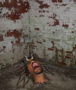 You gotta be f***ing kidding! (The Thing)