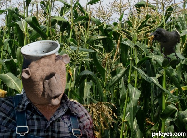 Creation of The Farmer: Step 2