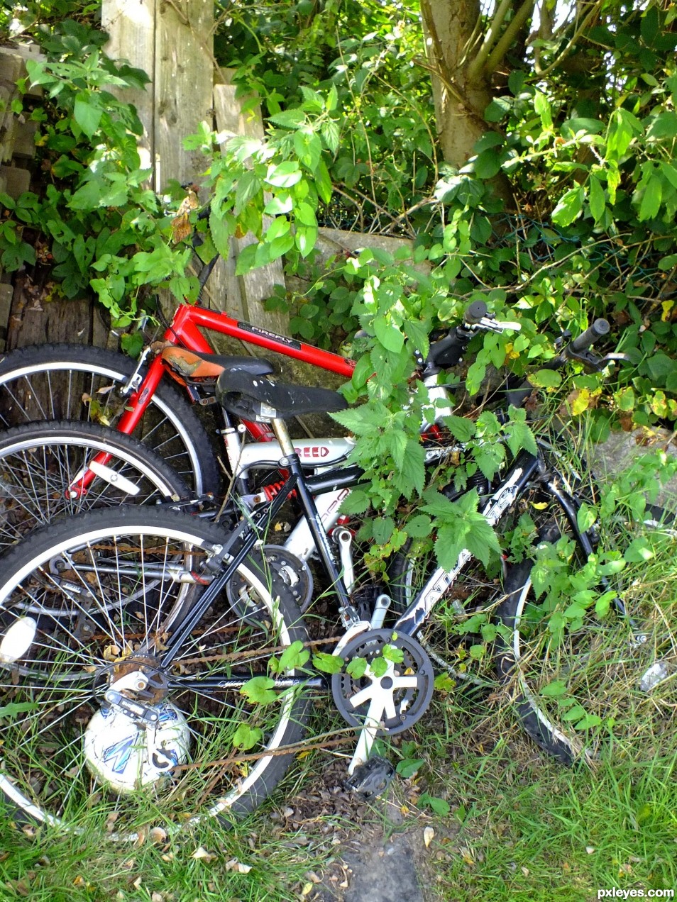 Forgotten Bikes