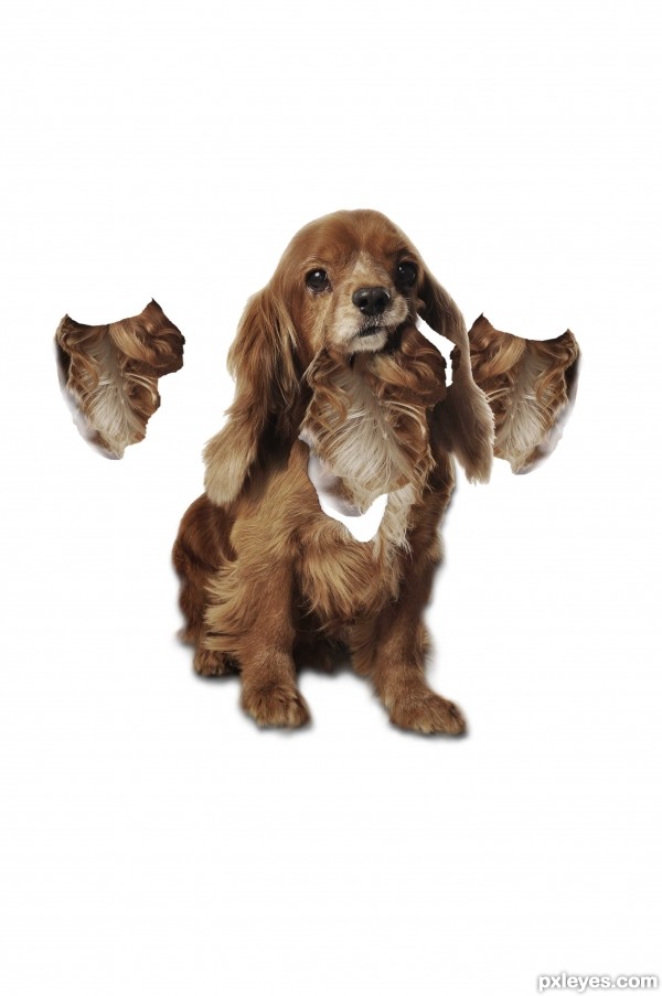 Creation of Dog head: Step 2