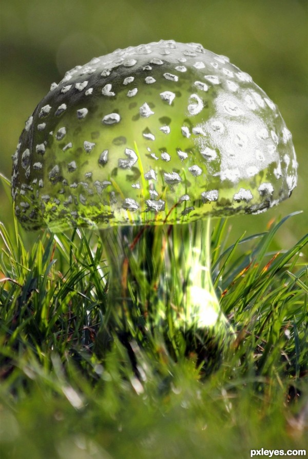 glass mushroom