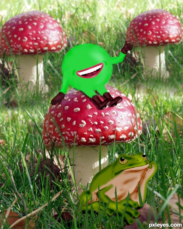 Toadstool