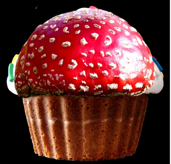 Creation of Mushroom Cupcake: Step 2