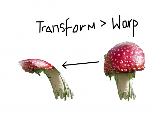 Creation of Rafflesia's World: Step 1