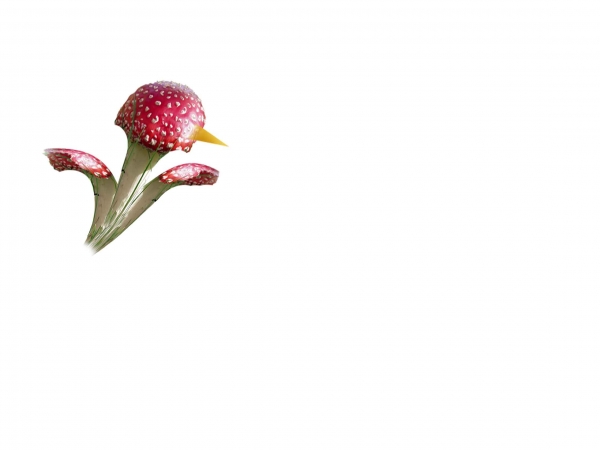 Creation of Rafflesia's World: Step 2