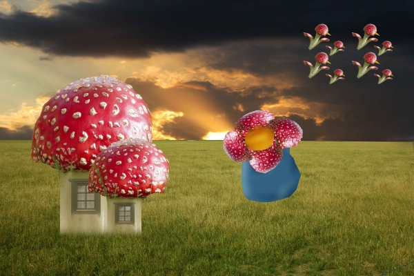 Creation of Rafflesia's World: Step 6
