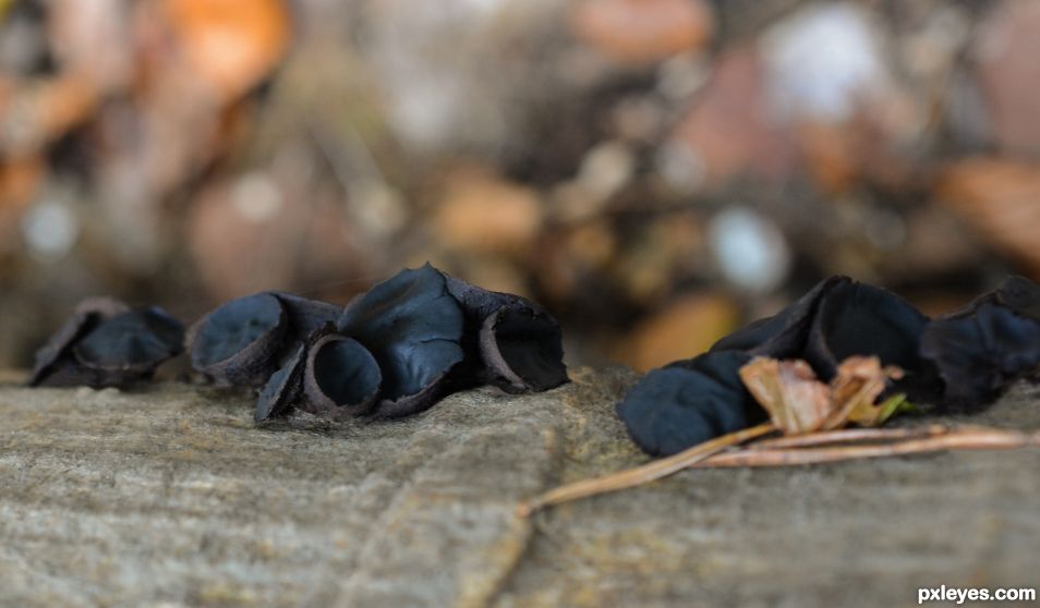 Black liquorice candies