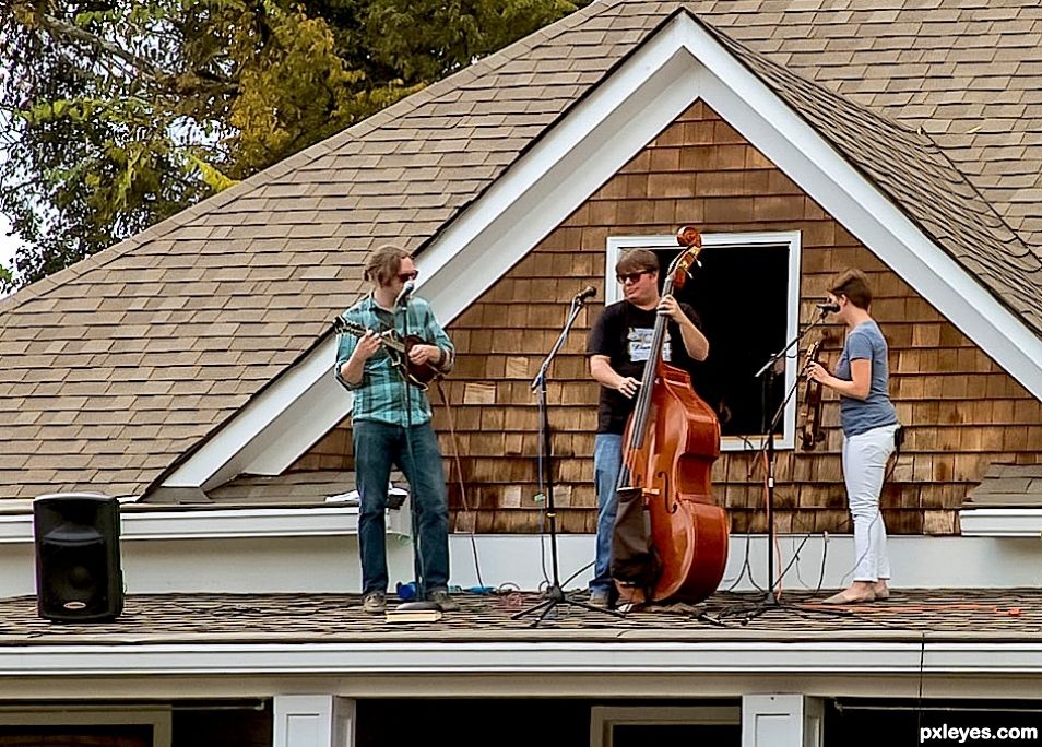 Roof top singers