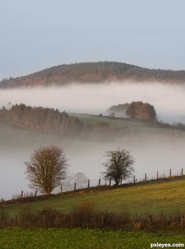 Foggy morning