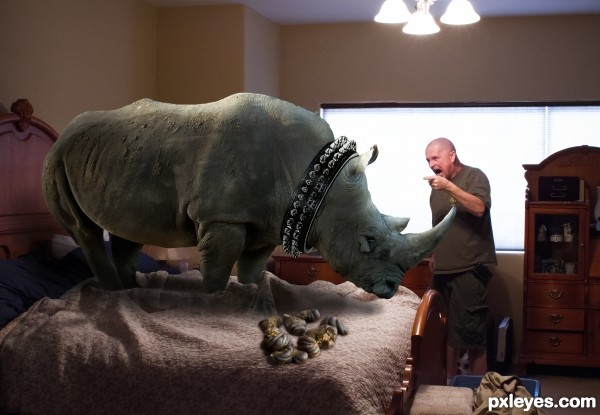 Creation of Bad Rhino!: Final Result