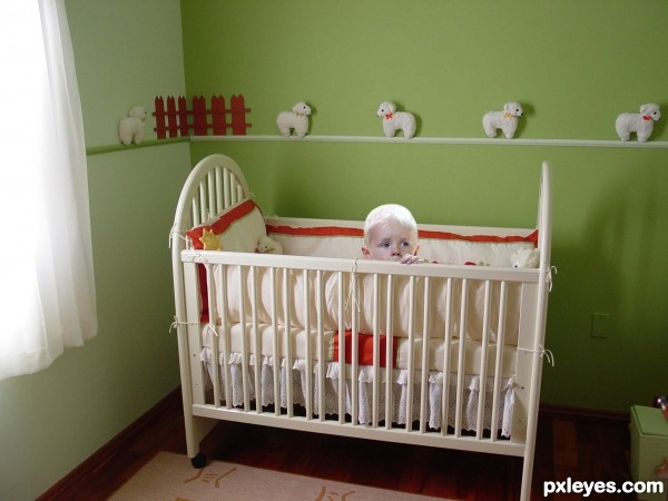 Creation of Koala Nanny: Step 1