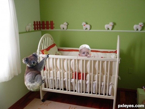 Creation of Koala Nanny: Step 3