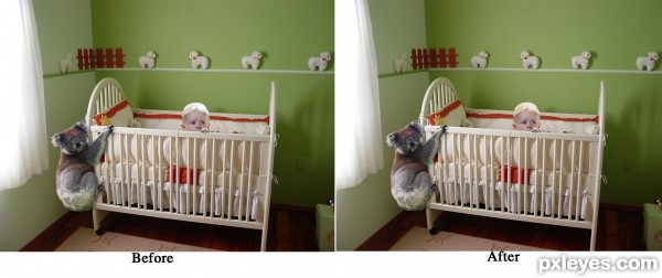 Creation of Koala Nanny: Step 4