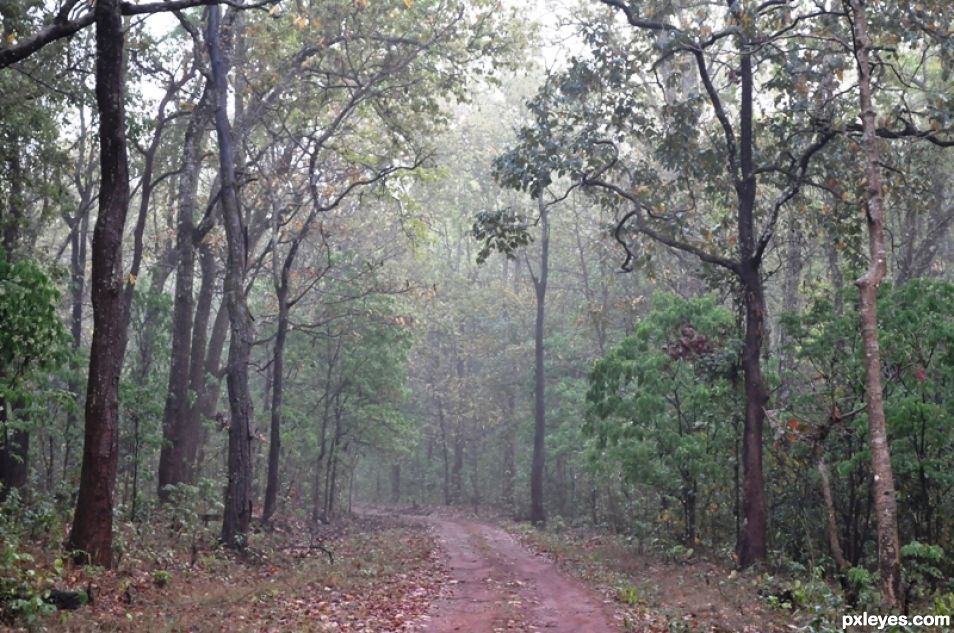 The Forbidden Road