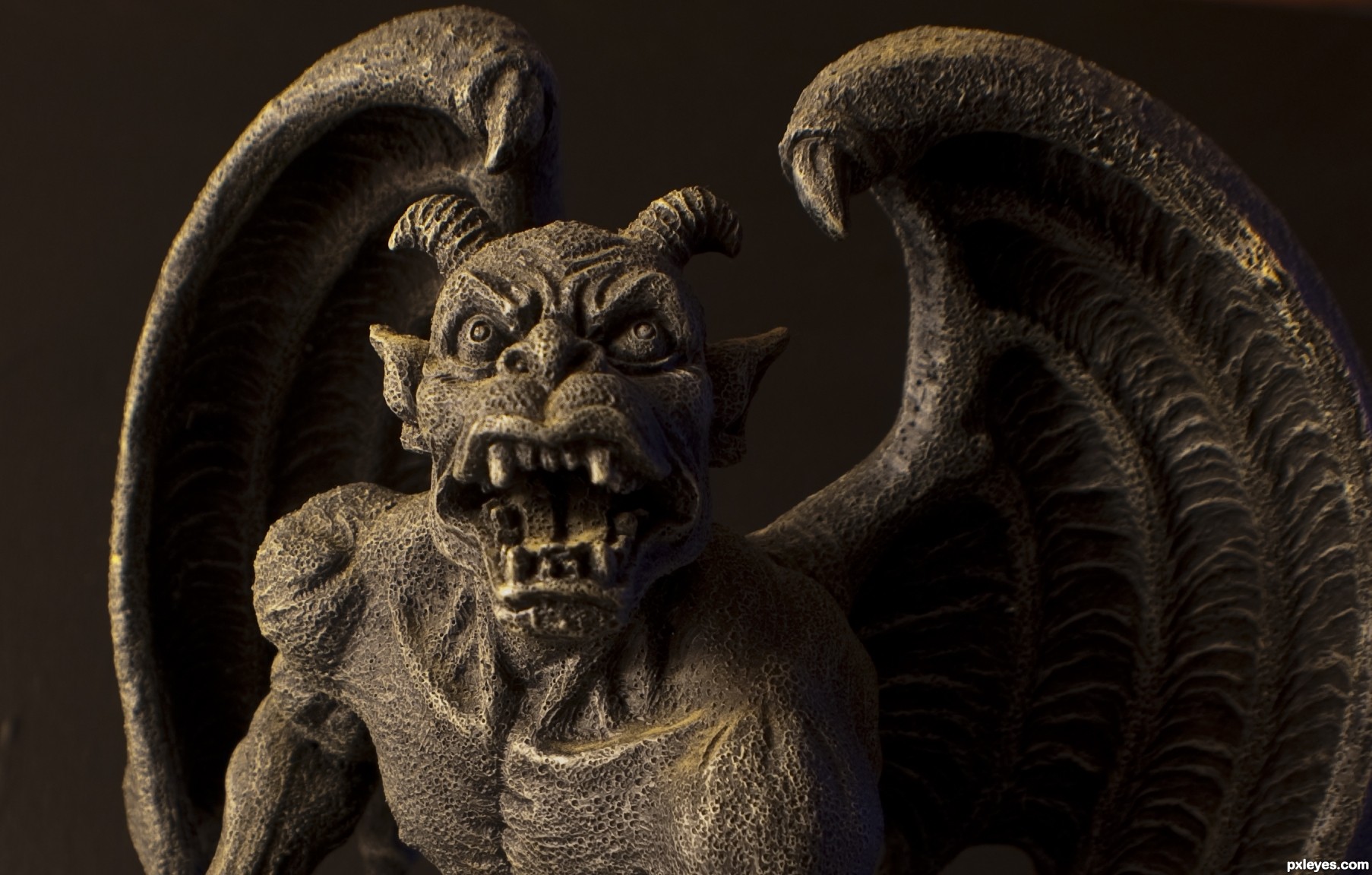 Gargoyle picture, by gotmeamuse for: mythological beasts photography