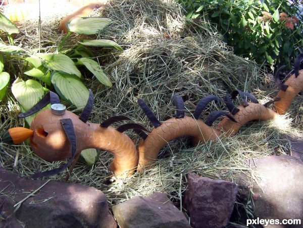 The Elusive Gourd Dragon