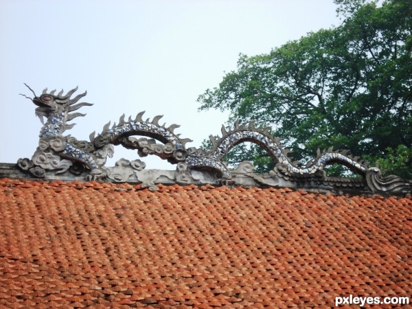 Vietnamese dragon