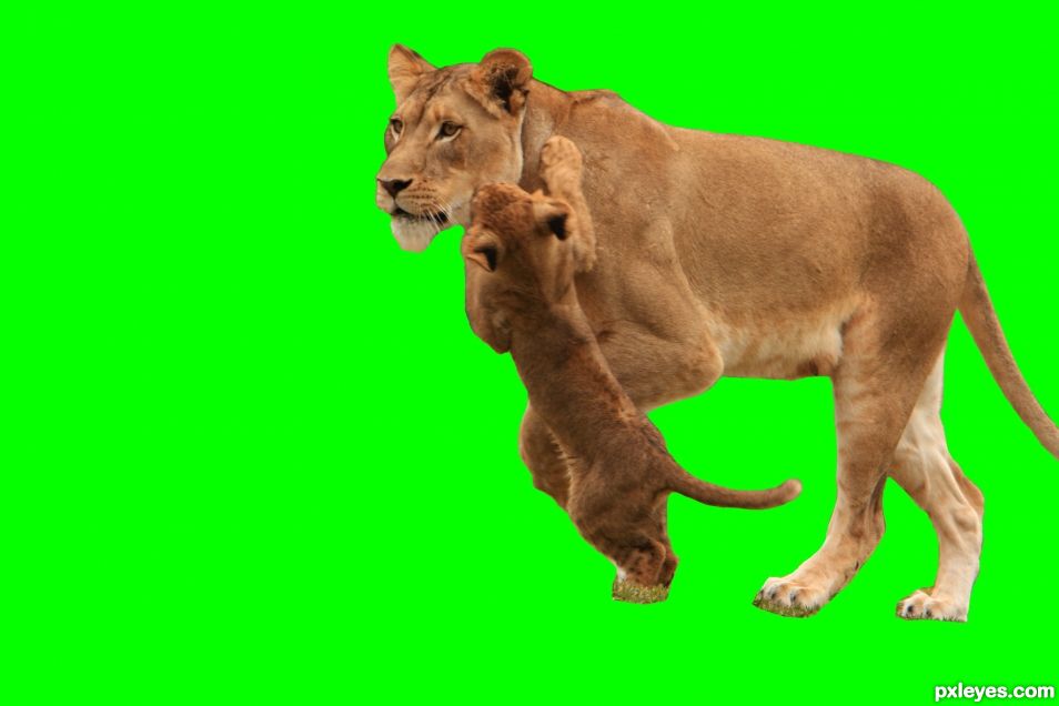 Creation of Griffin: Step 1