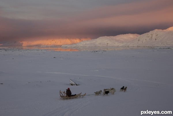 Dog sledge Greenland