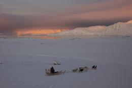 Dog sledge Greenland