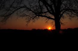 Field of Dreams Picture