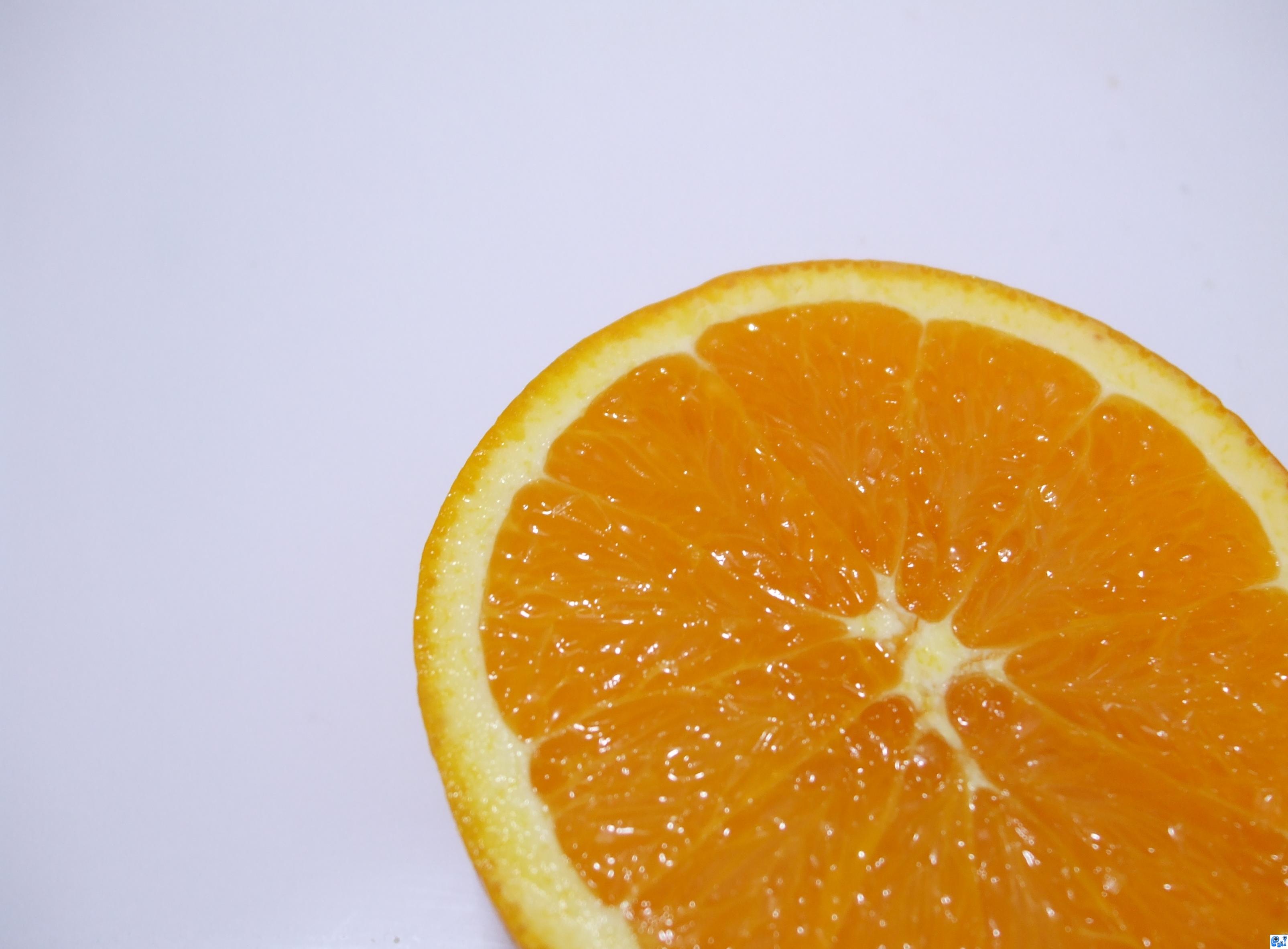 orange photography contest pictures image page 35 orange photography contest pictures image page 35