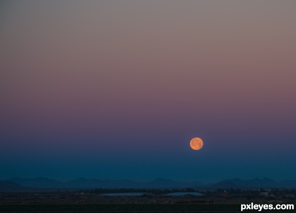 Desert Daybreak