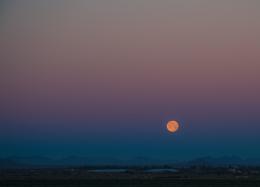 Desert Daybreak