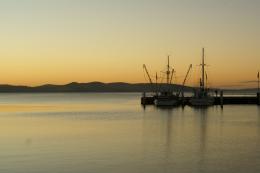 Tassie Fishing Boats