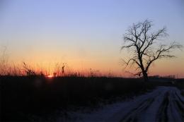 wintersunset