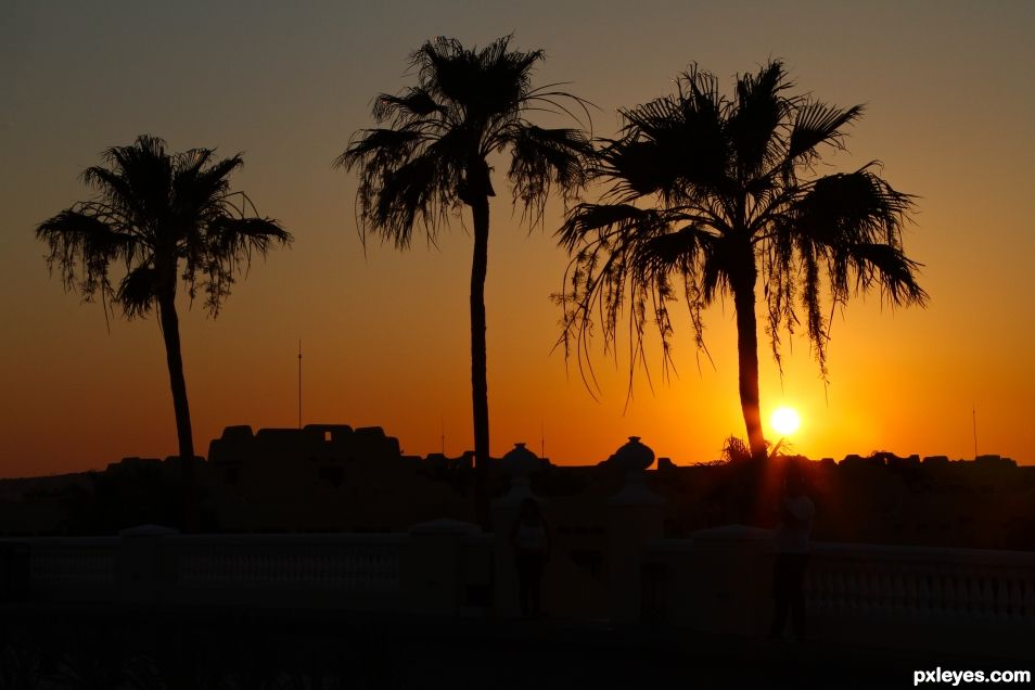 Sunset in the Desert