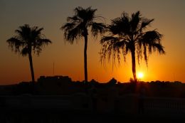 Sunset in the Desert