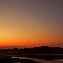 Dawn
