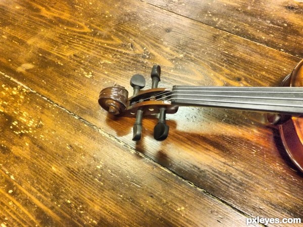 violin