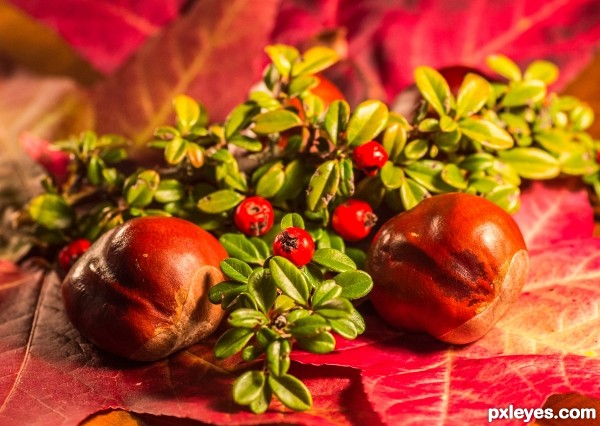 leaves and berries