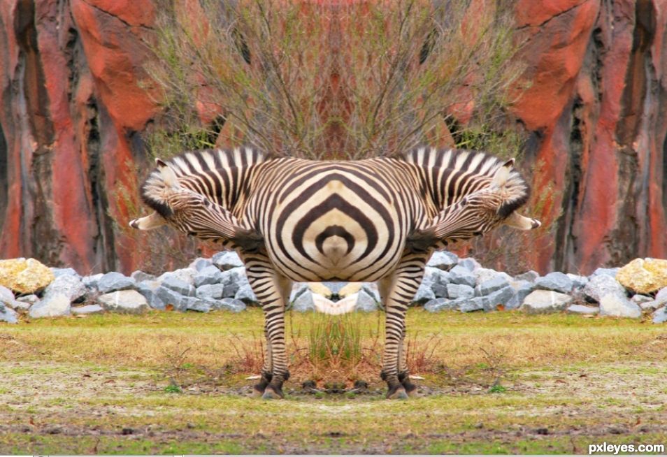 Creation of Illusion: Step 2