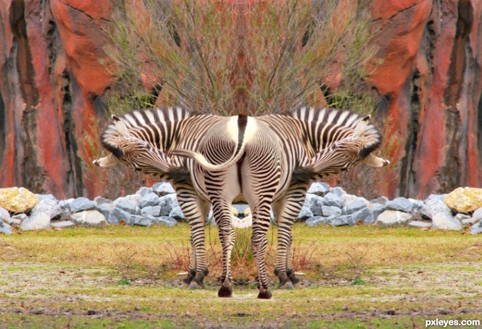 Creation of Illusion: Step 3