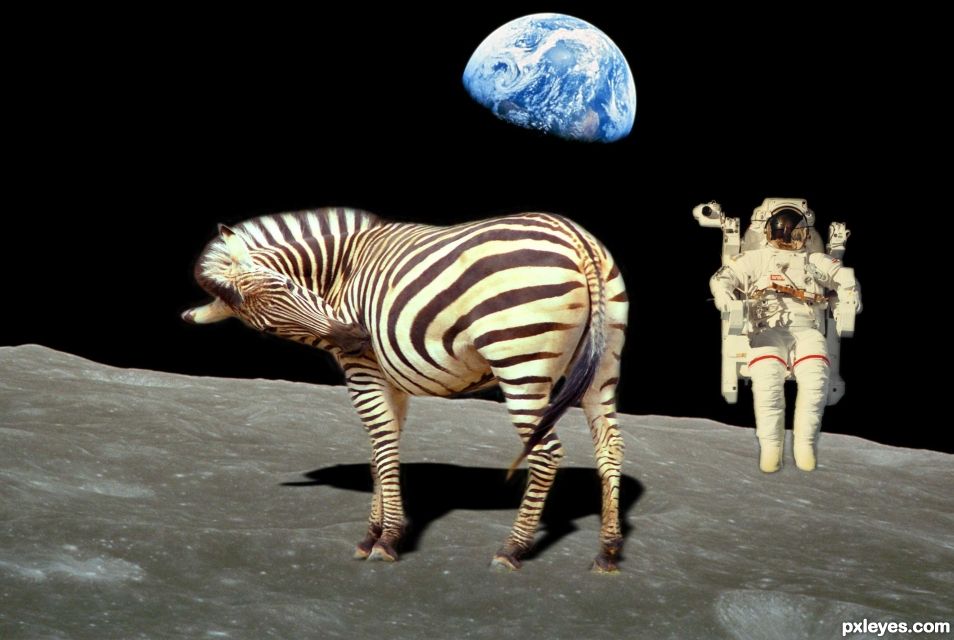 Creation of space Zebra: Step 5