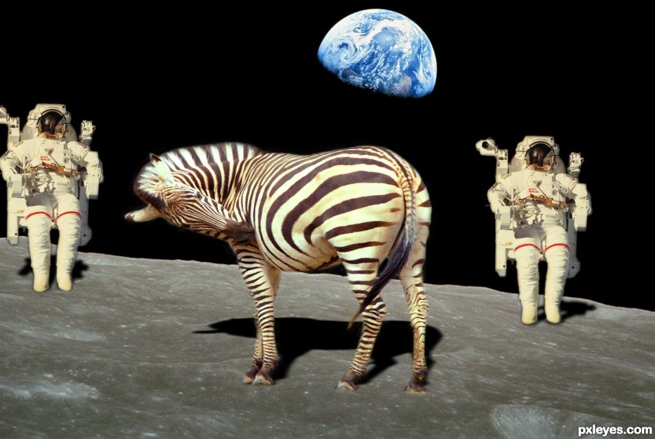 Creation of space Zebra: Step 7