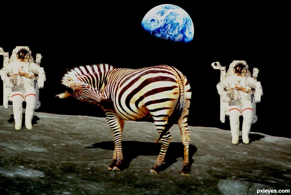 Creation of space Zebra: Step 8