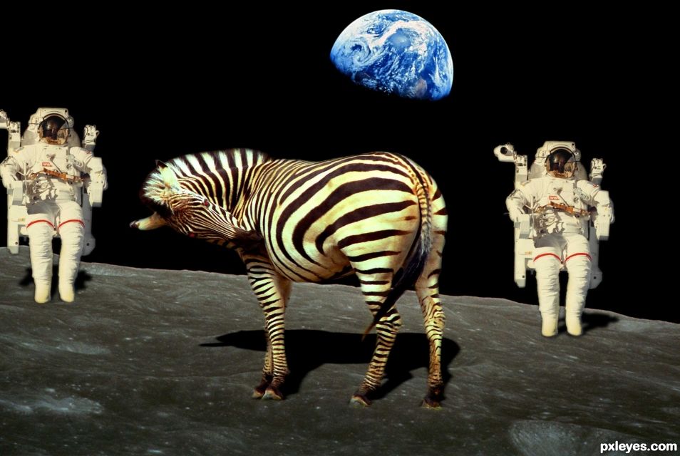 Creation of space Zebra: Step 9
